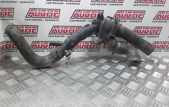 Thermostat/thermostat housing