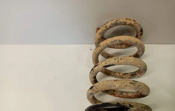 Mitsubishi Pajero Rear coil spring