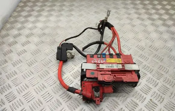 BMW X6 E71 Positive wiring loom 6112921595401 61129215954 921595401