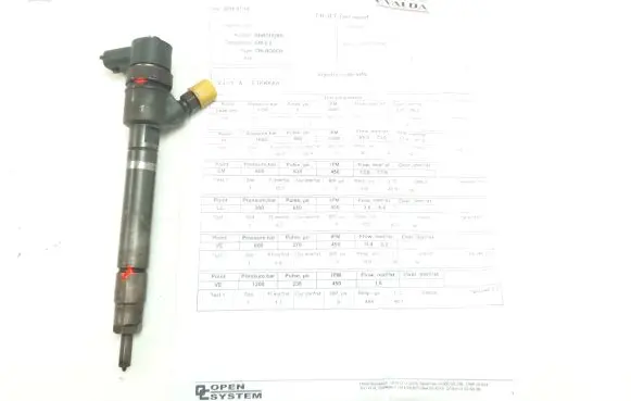 Volvo S80 Fuel injector 0445110298