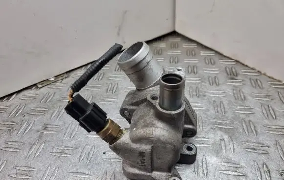 Thermostat/thermostat housing