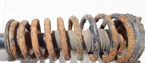 Front coil spring