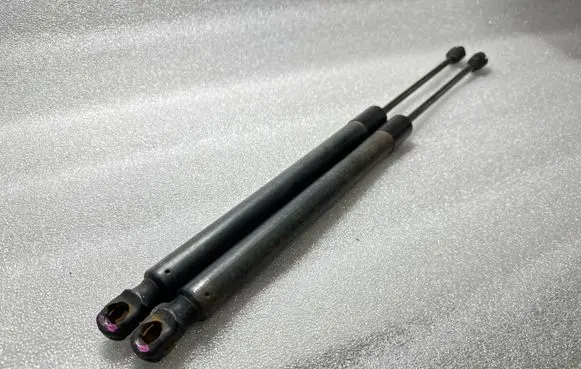 Tailgate/trunk strut/damper