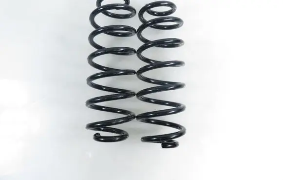 Volkswagen PASSAT B6 Rear coil spring