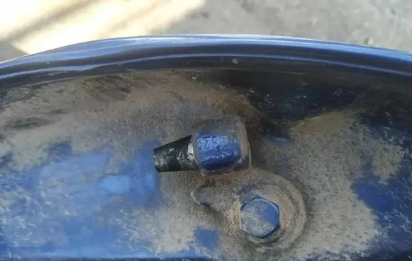 Ford Focus Rear door lower hinge