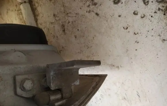 Peugeot 406 Rear door lower hinge
