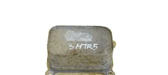 Opel Astra K Engine oil radiator 55505451 F12SHL