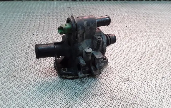 Thermostat/thermostat housing