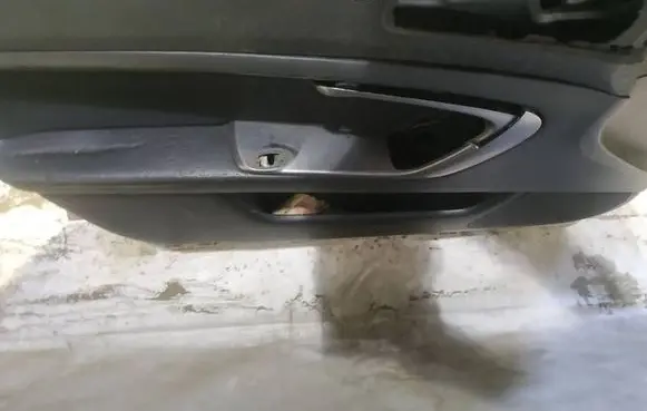 Subaru Legacy Front door card panel trim
