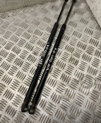 Tailgate/trunk strut/damper