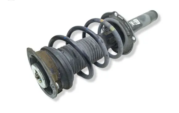 Volkswagen Tiguan Allspace Front shock absorber with coil spring 2019390321