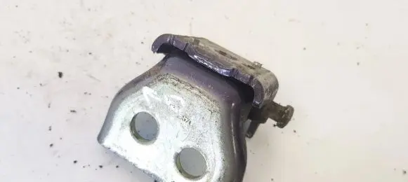 Peugeot 307 Rear door lower hinge 