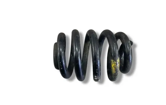 Rear coil spring
