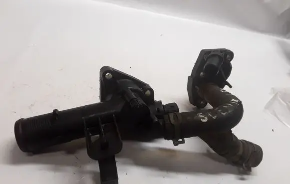 Thermostat/thermostat housing