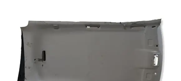 Ford Focus Headlining 