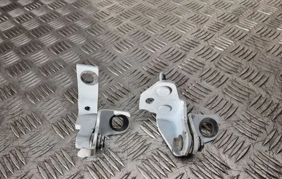 Ford Focus Rear door hinge set 