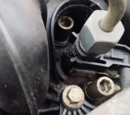 Citroen C3 Fuel injector