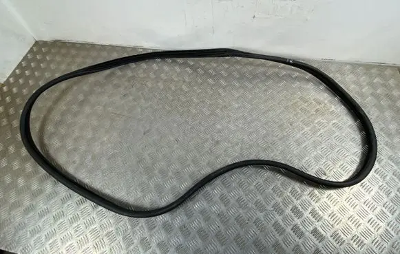 Renault Arkana Front door rubber seal 
