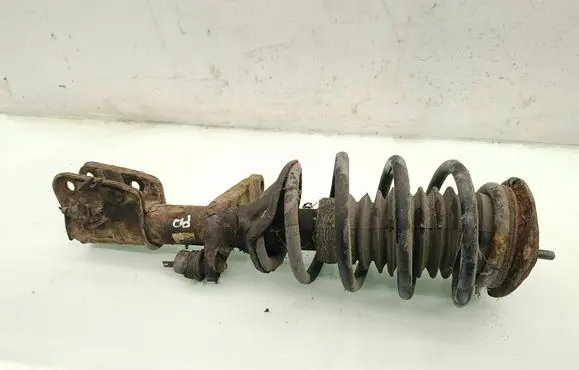 Land Rover Freelander Front shock absorber with coil spring 