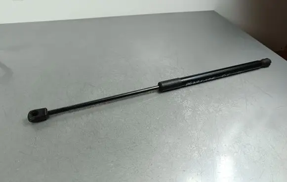 Tailgate/trunk strut/damper