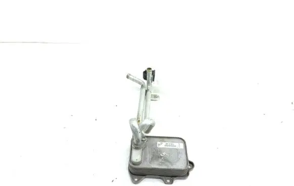 Skoda Octavia Mk2 (1Z) Engine oil radiator 03c117021j