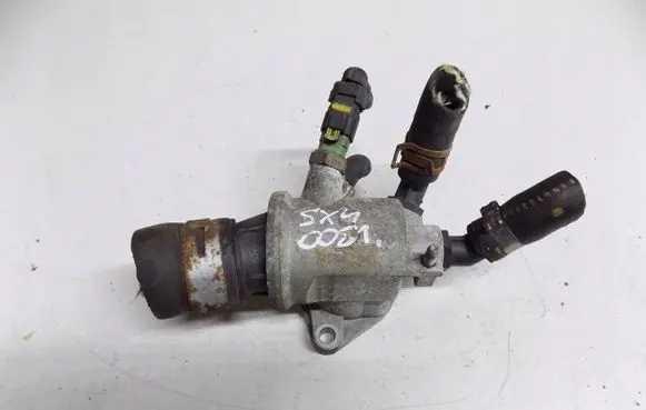 Thermostat/thermostat housing