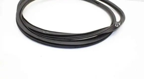 Ford Mustang Mach-E Rubber seal rear door LJ8BR20708AA
