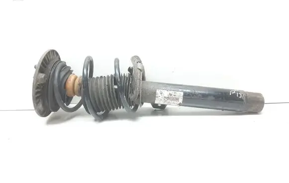 Front shock absorber with coil spring