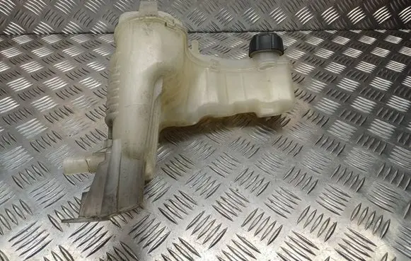 Renault Laguna III Coolant expansion tank/reservoir 217100014R