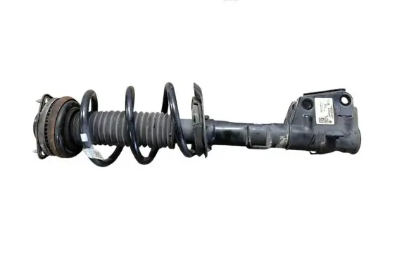 Chrysler Pacifica Front shock absorber with coil spring 68248729AD P68248729AD 824904011575