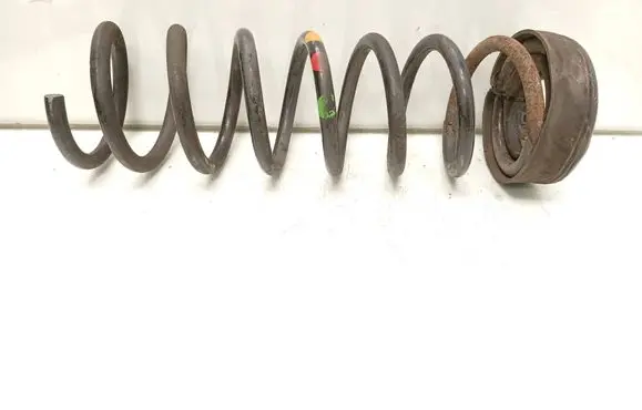 Rear coil spring