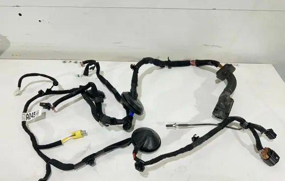 KIA Niro Front door wiring loom