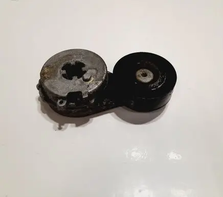 Seat Exeo (3R) Generator/alternator belt tensioner 06H903133G