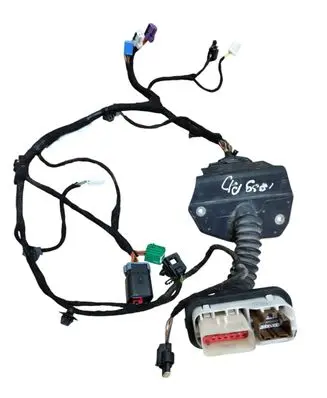 Front door wiring loom