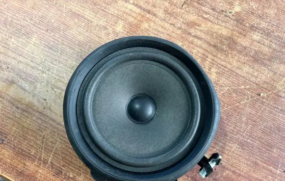 Front door speaker