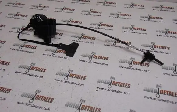 Fuel tank cap lock motor