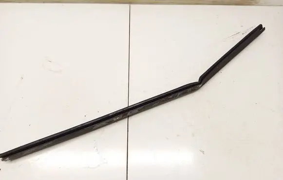 Jaguar X-Type Front door glass trim molding 