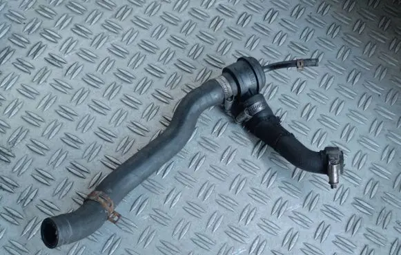 Dacia Sandero II Engine coolant pipe/hose 3028024