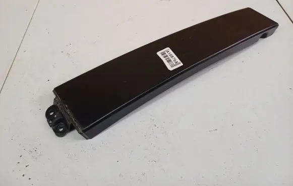 Rear/tail light trim molding
