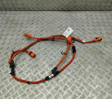 Audi e-tron Other wiring loom 4KL971059