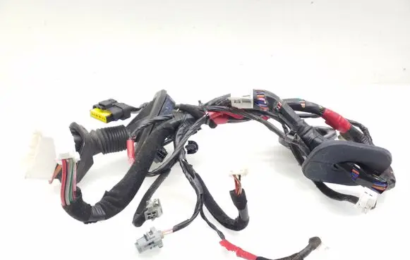 Hyundai Santa Fe Front door wiring loom 916002B200