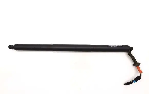 Tailgate strut