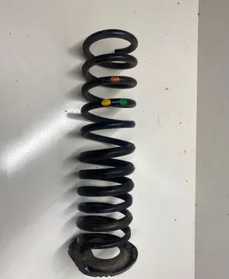 Rear coil spring