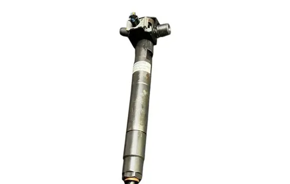 Chevrolet Captiva Fuel injector 28489548