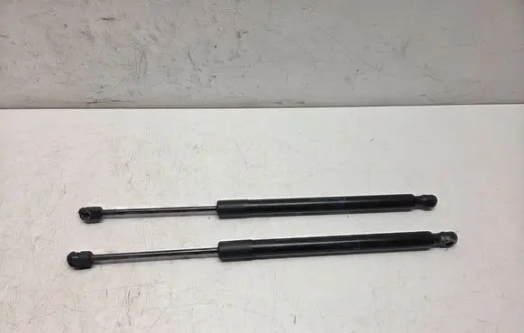 Opel Meriva B Tailgate/trunk strut/damper 13338367 0306280700N