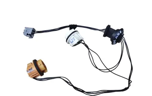 Ford Focus Tail light bulb cover holder 