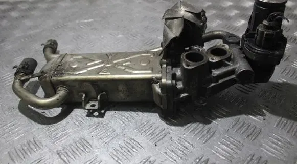 Skoda Rapid (NH) EGR valve 0280751016
