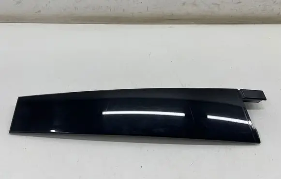 Ford Mustang Mach-E Rear door glass trim molding LJ8BR254A41ABW