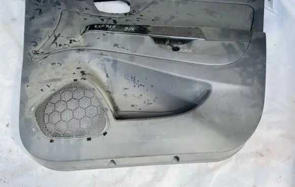 Renault Captur Front door card panel trim 156067391