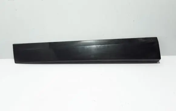 Renault Scenic III - Grand scenic III Front door trim (molding) 808770011R